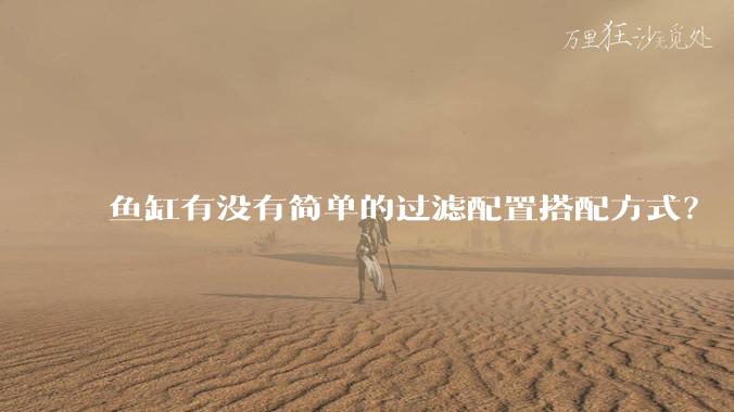 鱼缸有没有简单的过滤配置搭配方式？
