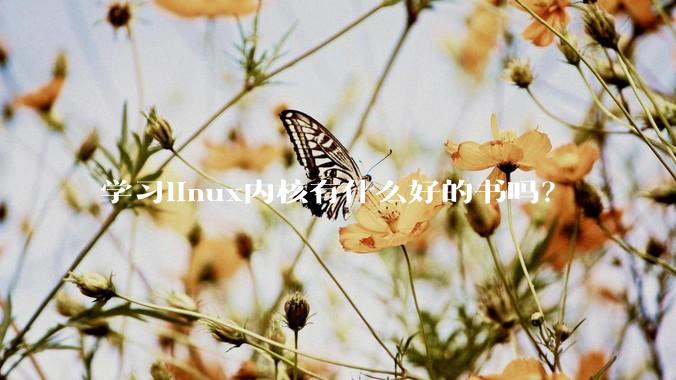 学习linux内核有什么好的书吗？