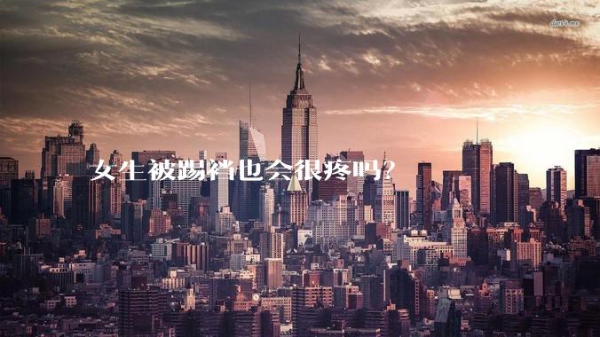 女生被踢裆也会很疼吗？