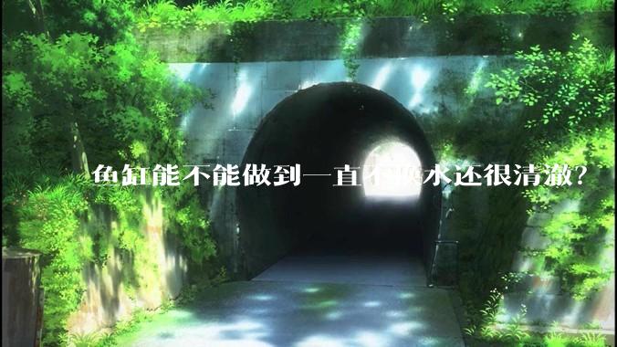 鱼缸能不能做到一直不换水还很清澈？