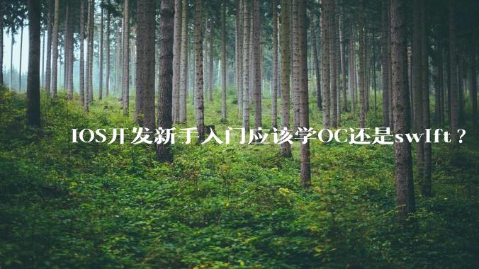iOS开发新手入门应该学OC还是swift?